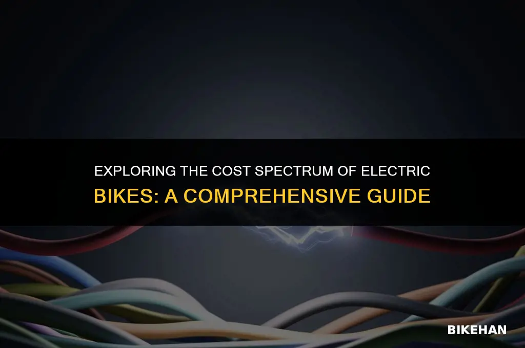 how much price electric bike