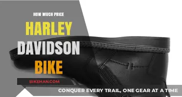 Exploring the Cost of Owning a Harley-Davidson Motorcycle