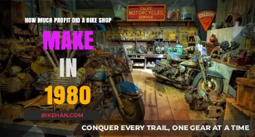 Pedaling Profits: A Bike Shop's Financial Journey in 1980