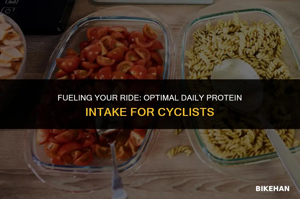 how much protein to eat per day for biker