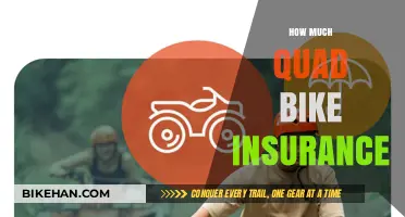 Understanding Quad Bike Insurance Costs: A Comprehensive Guide