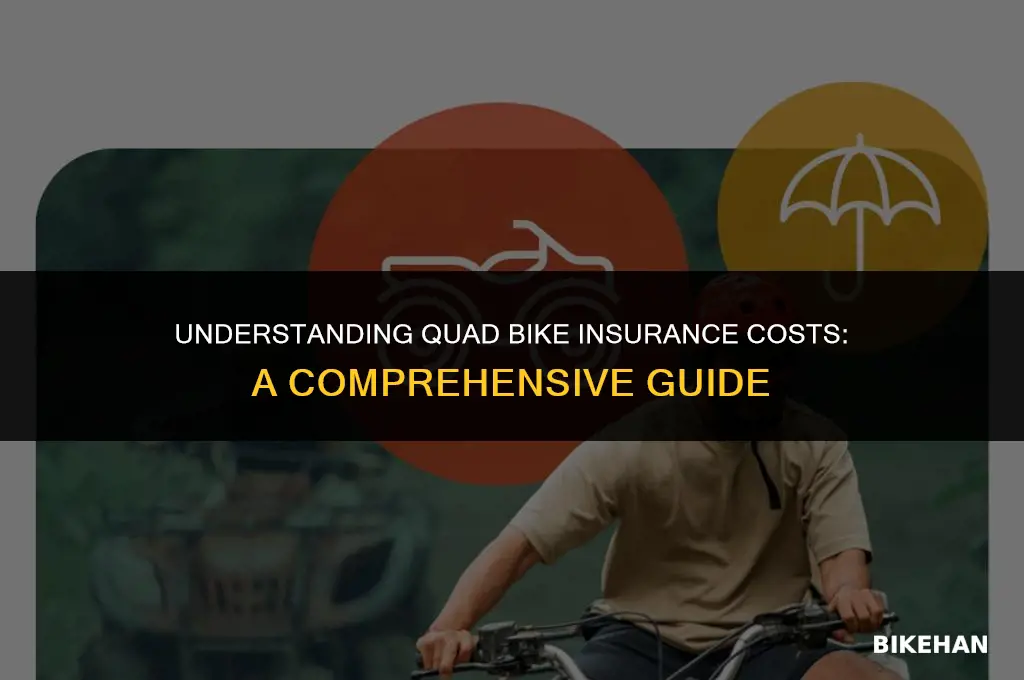 how much quad bike insurance