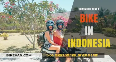 Exploring Indonesia on Two Wheels: A Guide to Bike Rentals