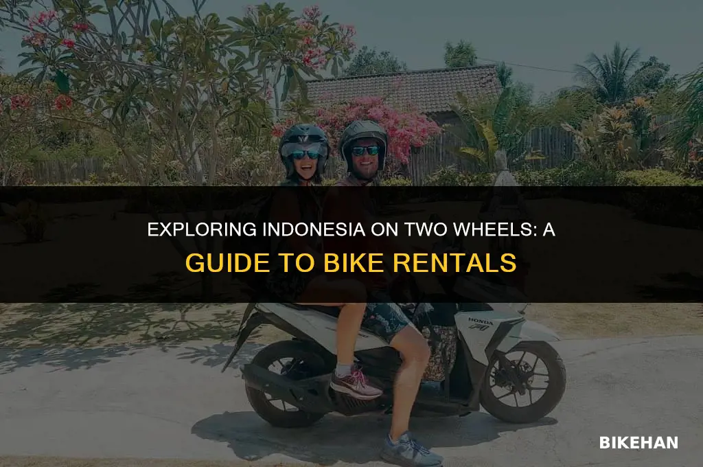 how much rent a bike in indonesia