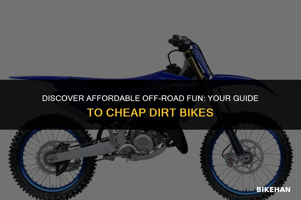 how to find a cheap dirt bike