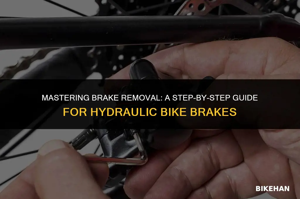 how to remove hydraulic brakes from bike