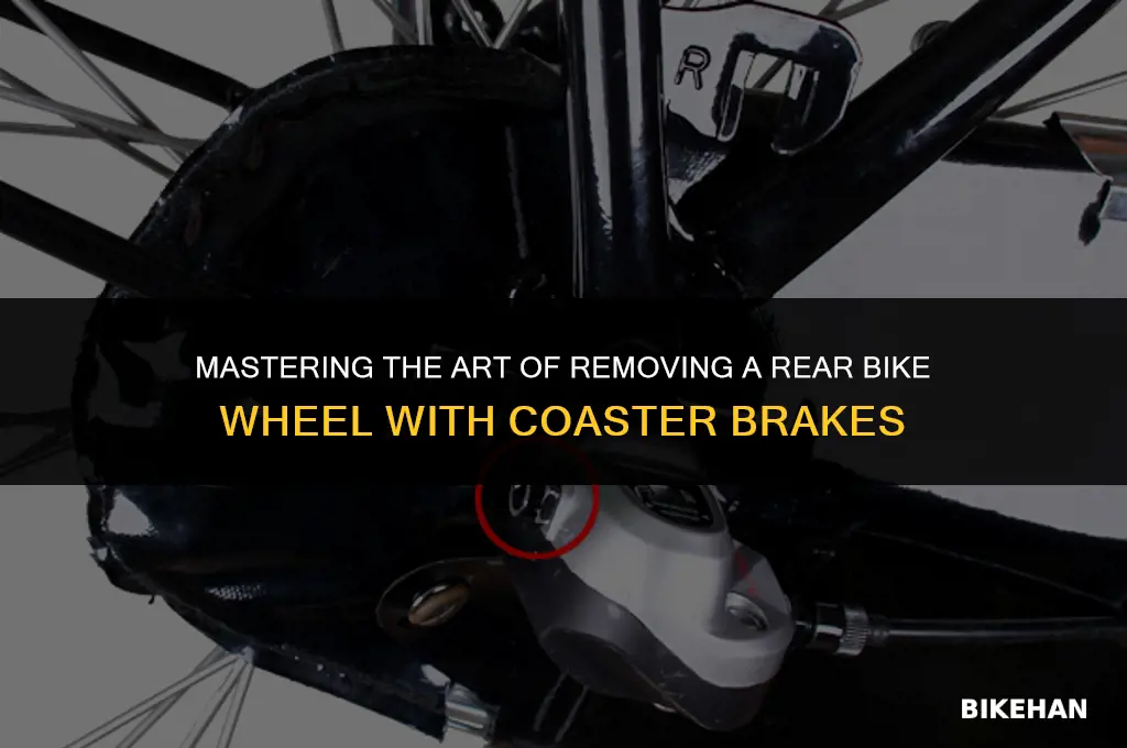 how to remove rear bike wheel with coaster brakes