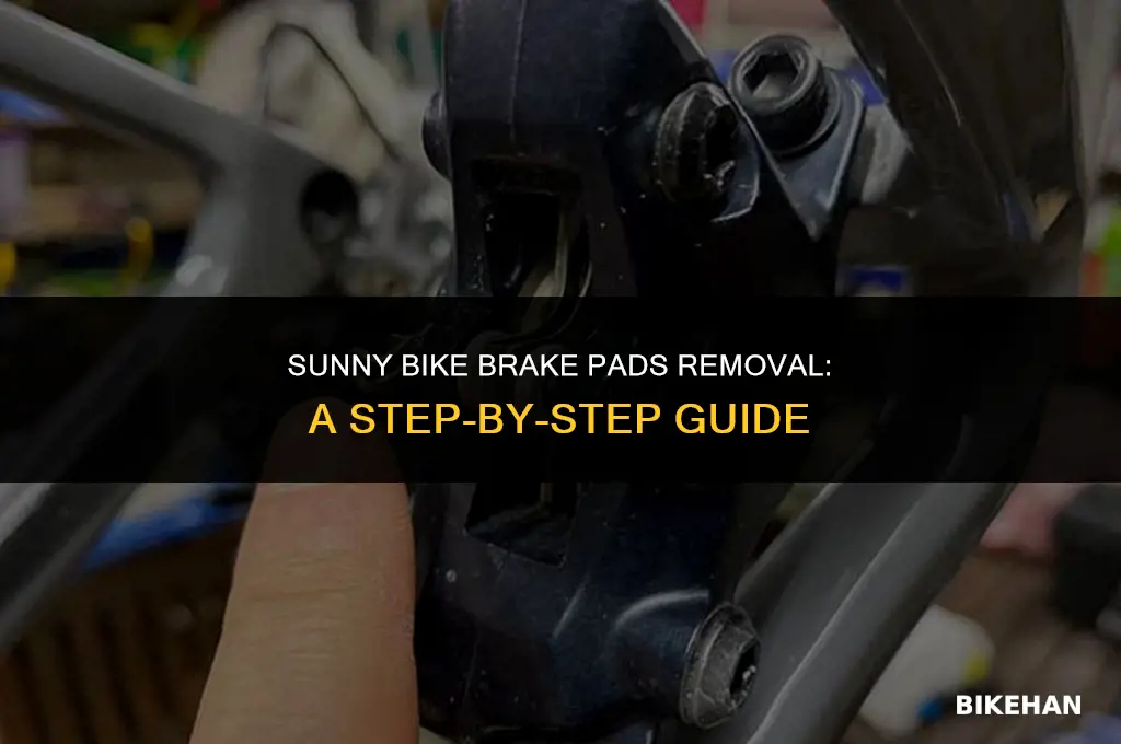 how to remove sunny bike brake pads