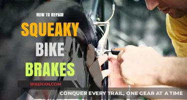 Silencing the Squeak: A Guide to Repairing Noisy Bike Brakes