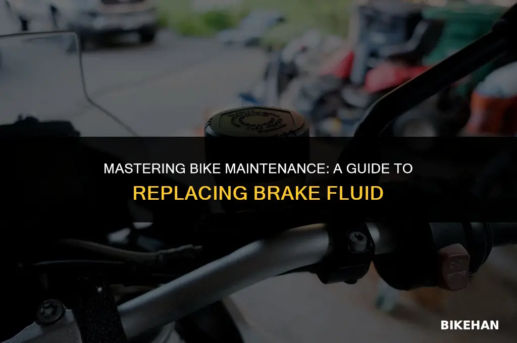 how to replace bike brake fluid
