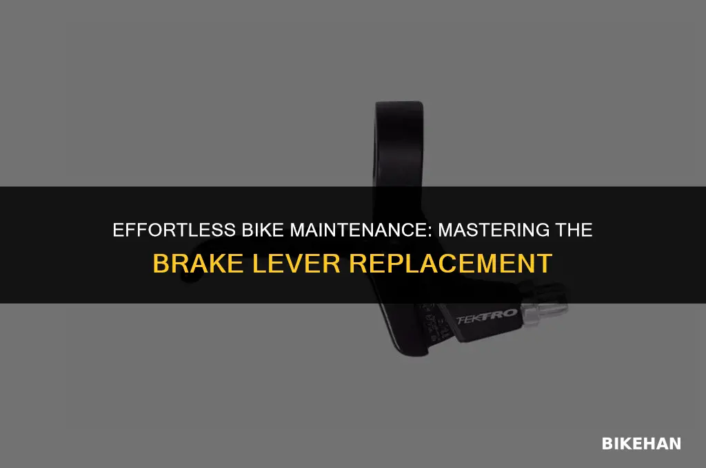how to replace bike brake lever