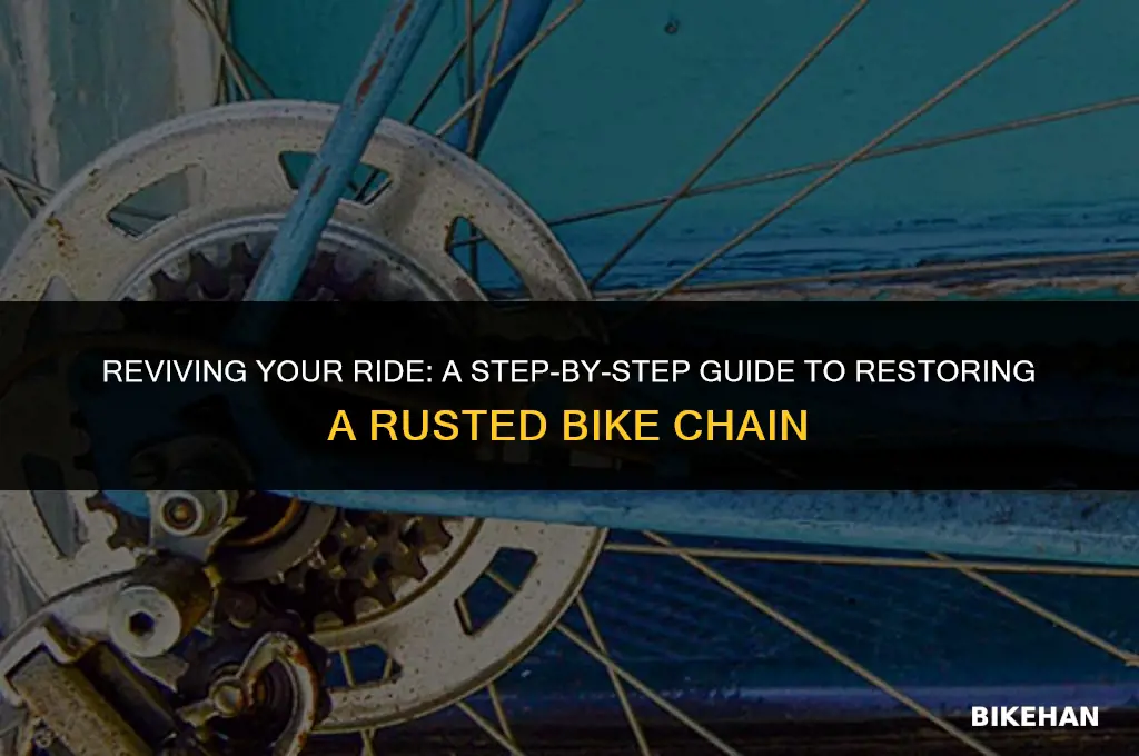 how to restore a rusted bike chain