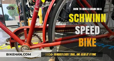 Mastering the Chain: A Guide to Running a Schwinn Speed Bike