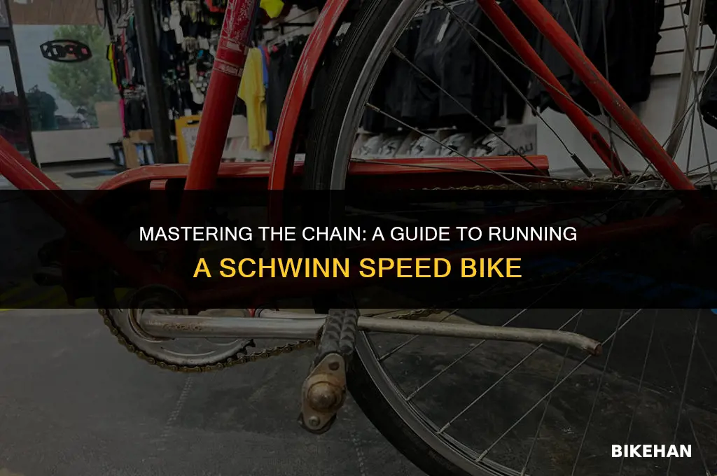 how to run a chain on a schwinn speed bike