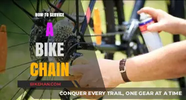 Revive Your Ride: The Essential Guide to Bike Chain Maintenance