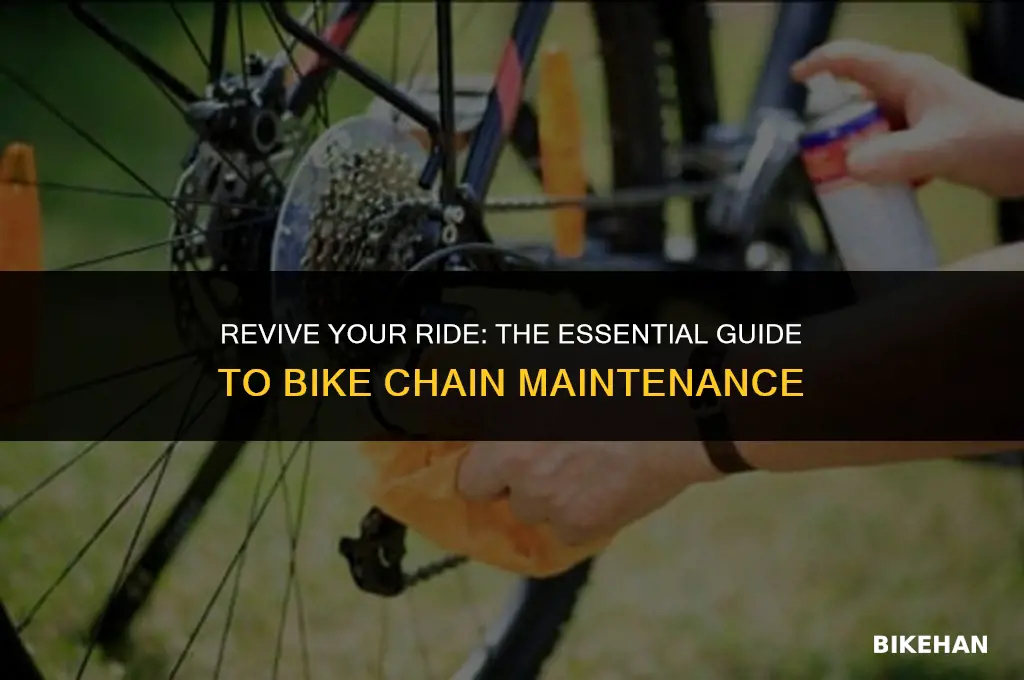 how to service a bike chain