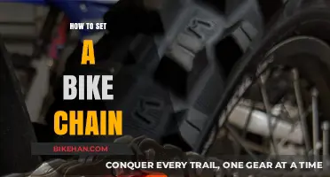 Mastering Bike Maintenance: A Step-by-Step Guide to Setting Your Chain