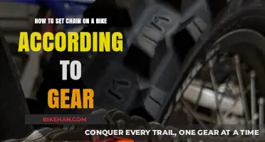 Mastering Your Bike's Gear System: A Chain Adjustment Guide