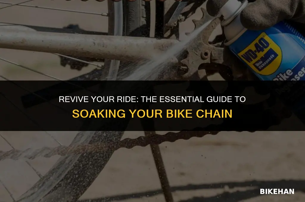 how to soak a bike chain
