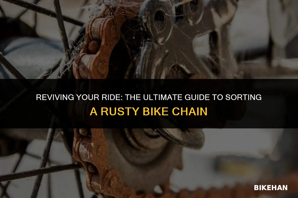 how to sort a rusty bike chain