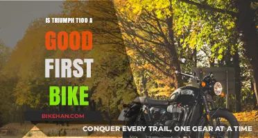 Is the Triumph T100 a Good First Bike? A Comprehensive Review
