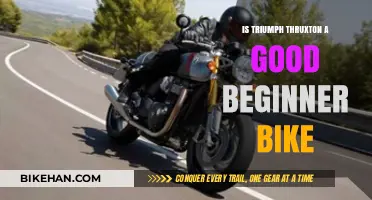 Is the Triumph Thruxton a Good Beginner Bike?