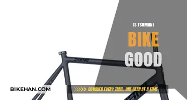 Riding the Wave: Is the Tsunami Bike Worth the Hype?