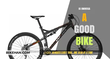 Exploring the Quality and Reputation of Univega Bicycles