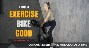 Rev Up Your Fitness: The Benefits of Using an Exercise Bike