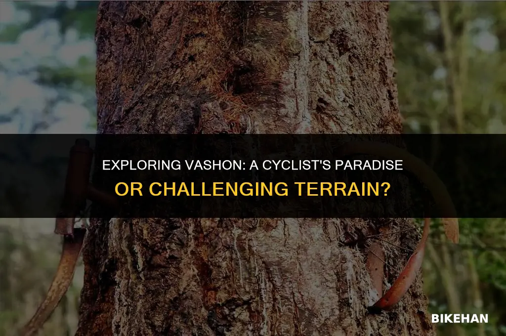 is vashon good for bike riding