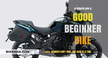 Is the Versys 650 a Good Beginner Bike?