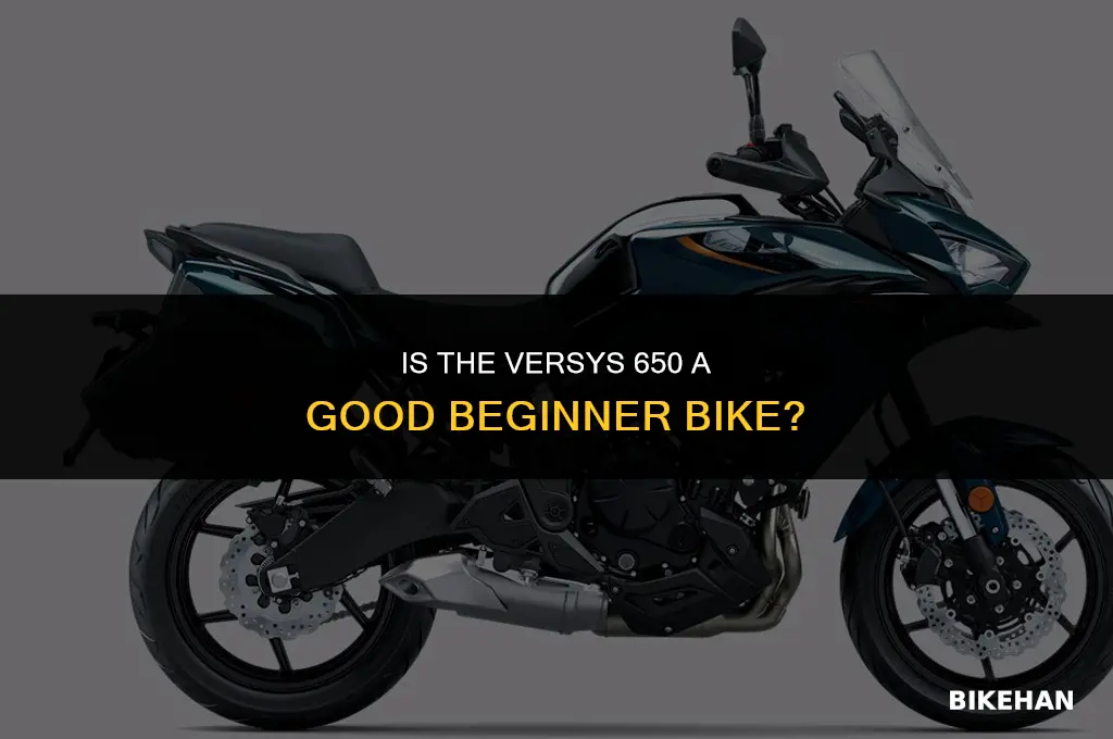 is versys 650 a good beginner bike