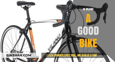 Exploring the Pros and Cons: Is Vilano a Good Bike Choice?