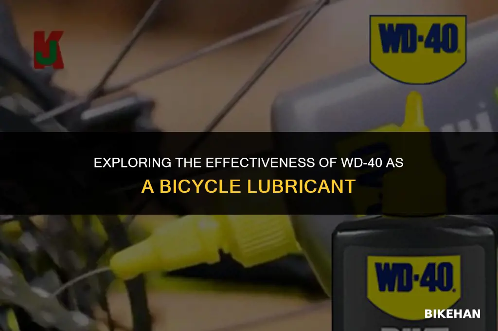 is wd 40 bike lube good