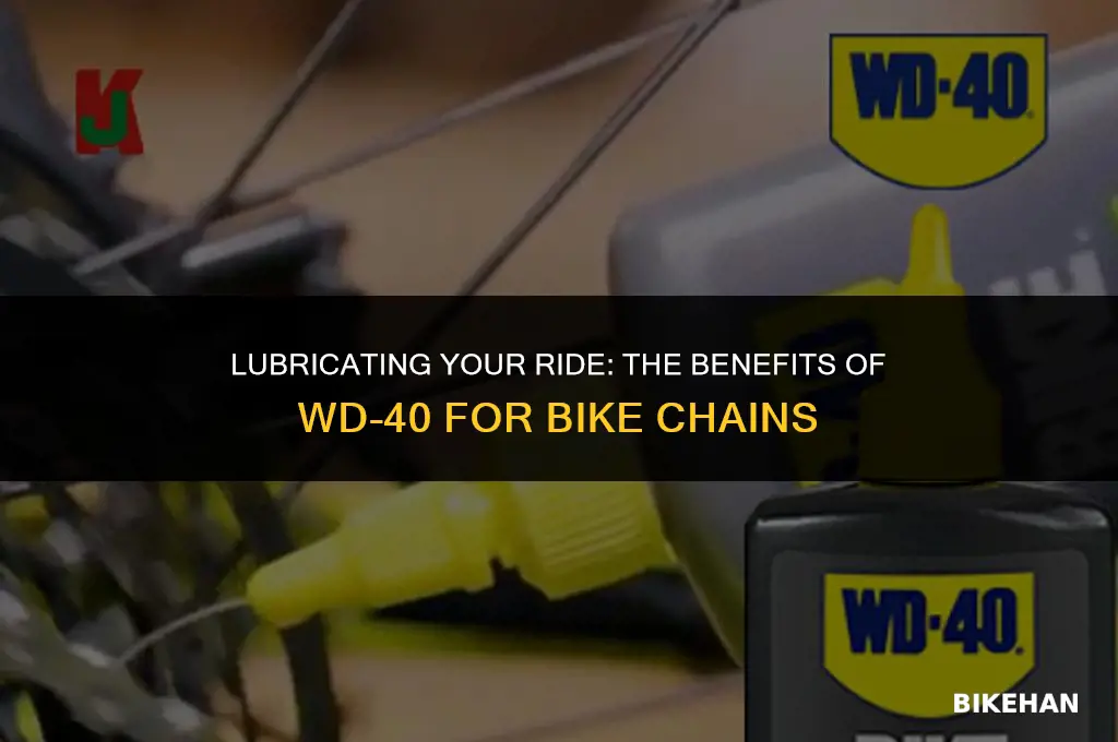 is wd 40 good for bike chain