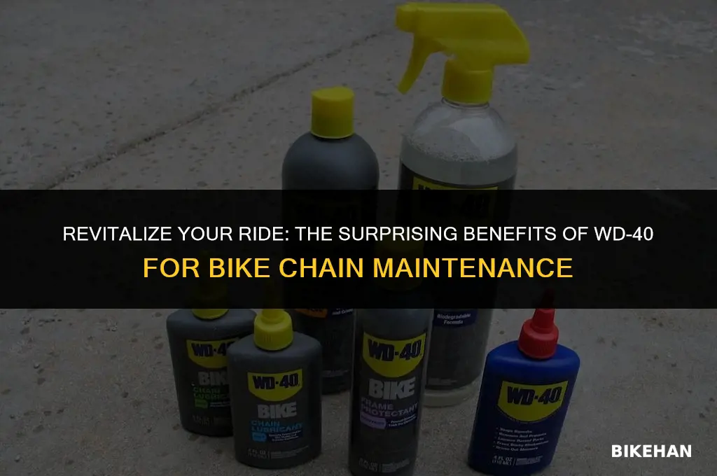 is wd 40 good for cleaning bike chain