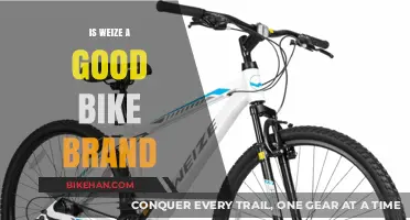 Exploring Weize Bikes: A Comprehensive Review of Quality and Value