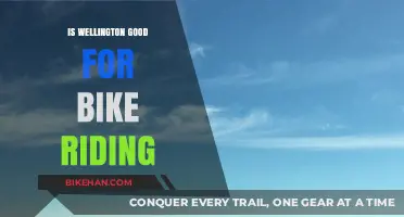Exploring Wellington: A Cyclist's Paradise or Challenging Terrain?
