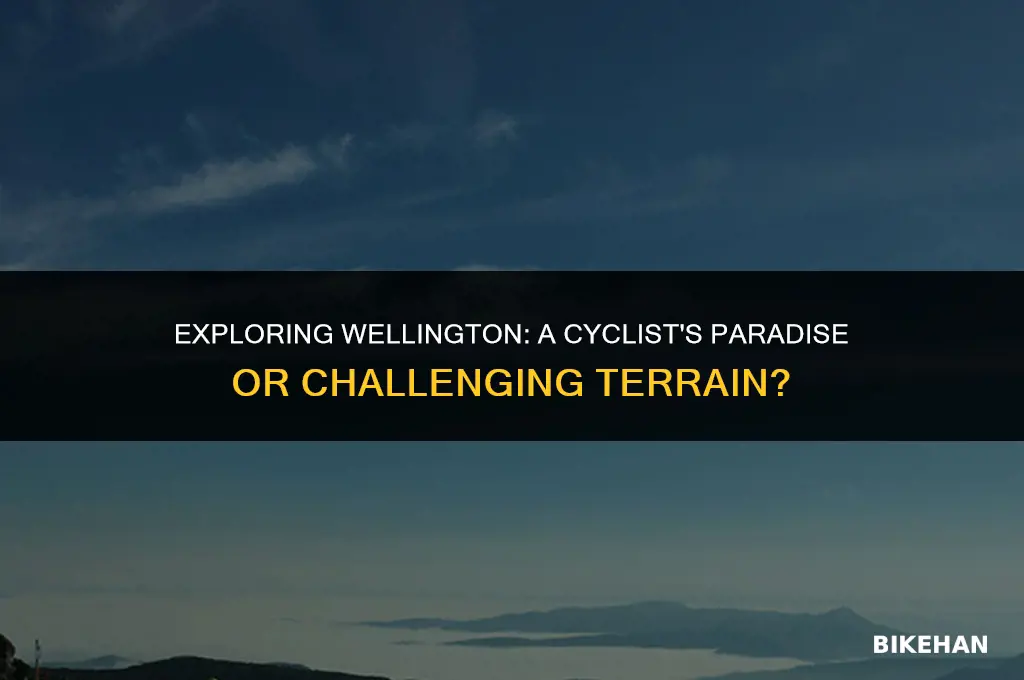 is wellington good for bike riding