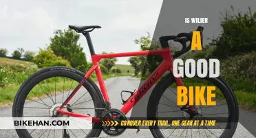 Exploring the Quality and Reputation of Wilier Bicycles
