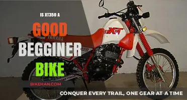 Is the XT350 a Good Beginner Bike? A Comprehensive Review