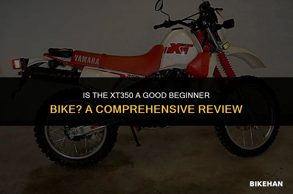 is xt350 a good begginer bike