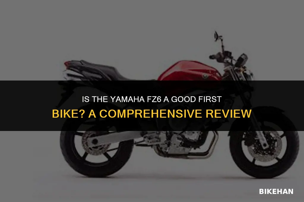 is yamaha fz6 a good first bike