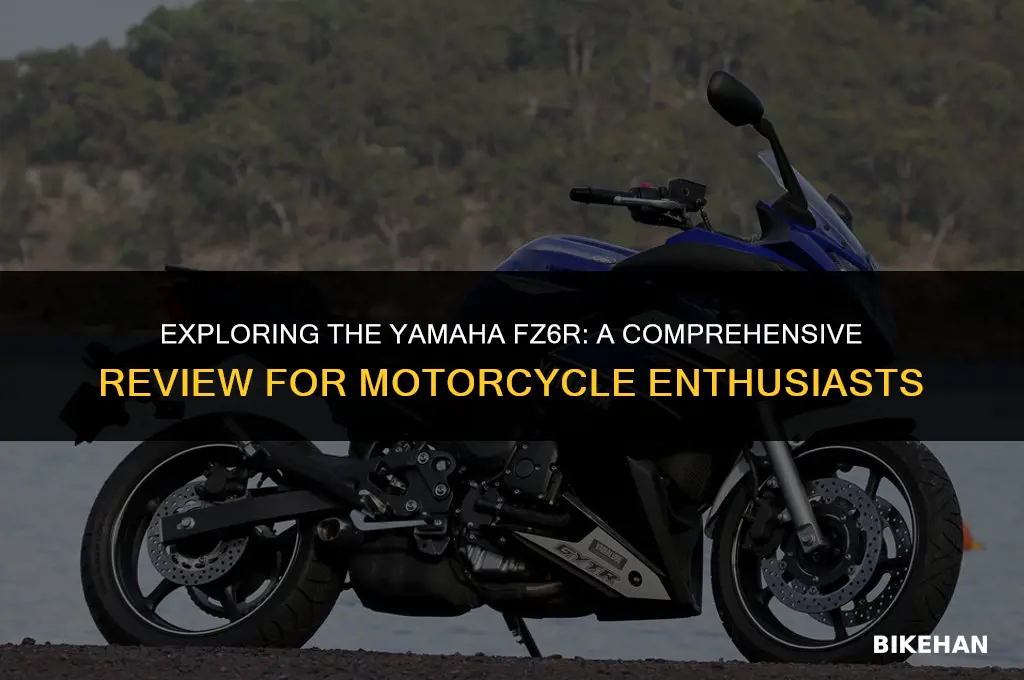 is yamaha fz6r a good bike