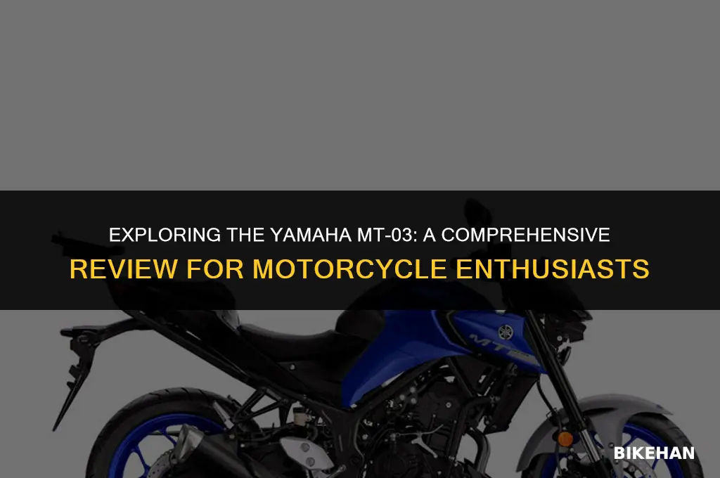 is yamaha mt03 a good bike