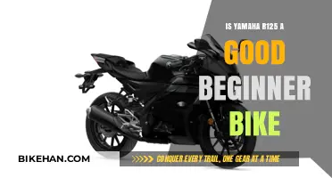Is the Yamaha R125 a Good Beginner Bike?