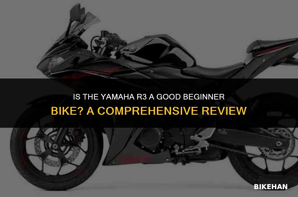 is yamaha r3 a good beginner bike