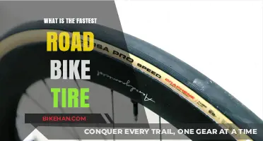 Speeding Ahead: Unveiling the Fastest Road Bike Tires of 2024