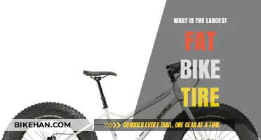 Exploring the Largest Fat Bike Tires: A Comprehensive Guide