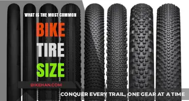 Exploring the Most Prevalent Bicycle Tire Dimensions